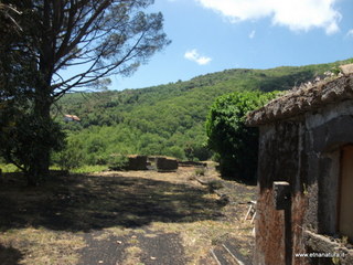 iorato san Giacomo-26-05-2013 12-44-17